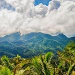 El Yunque National Rainforest