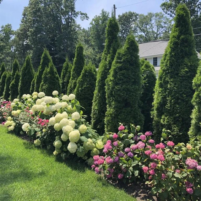 Landscaping fund