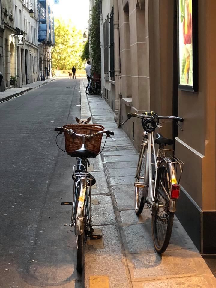 014839c3-118e-4f98-be6f-0761144c7353