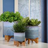 Ombre Ceramic Planter