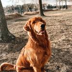 Crosslake Nature Trail