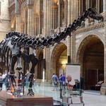 Smithsonian National Museum of Natural History