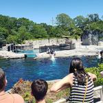 Mystic Aquarium