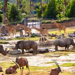 San Diego Zoo Safari Park