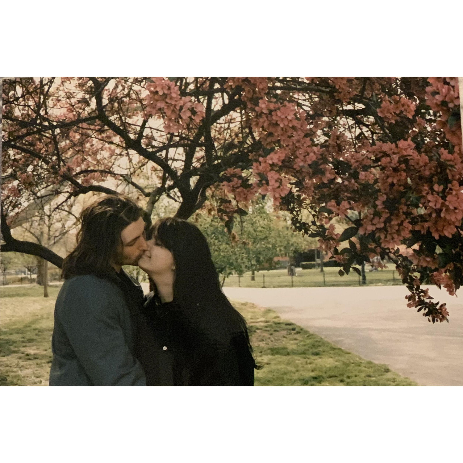 Spring in New York City, 2019