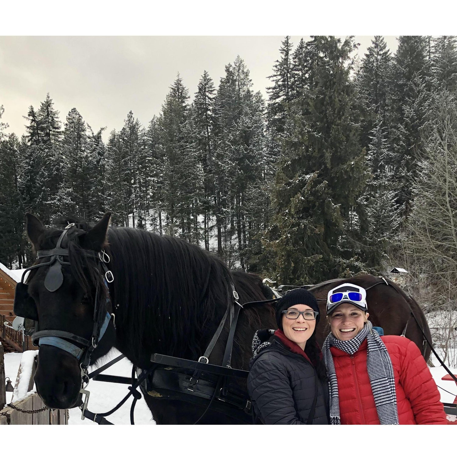 Mandy's birthday sleigh ride in Leavenworth, WA