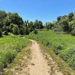 Avalon Nature Preserve