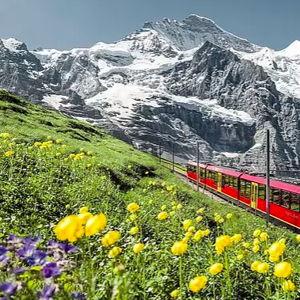 Jungfraujoch "Top of Europe" Experience
