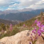 Rocky Mountain National Park