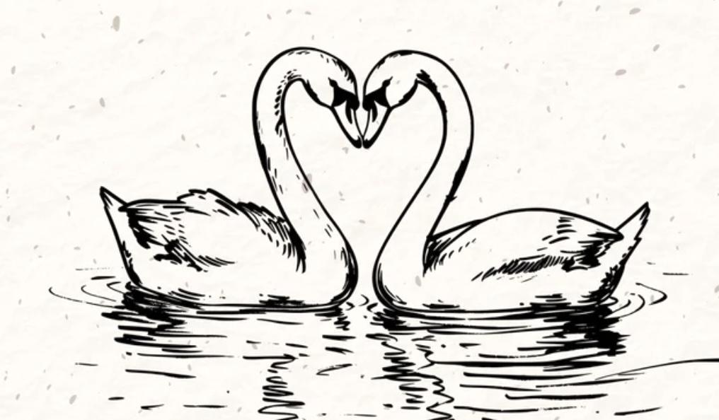 The Wedding Website of Olivia Dunphy and Stephen Rouzaut