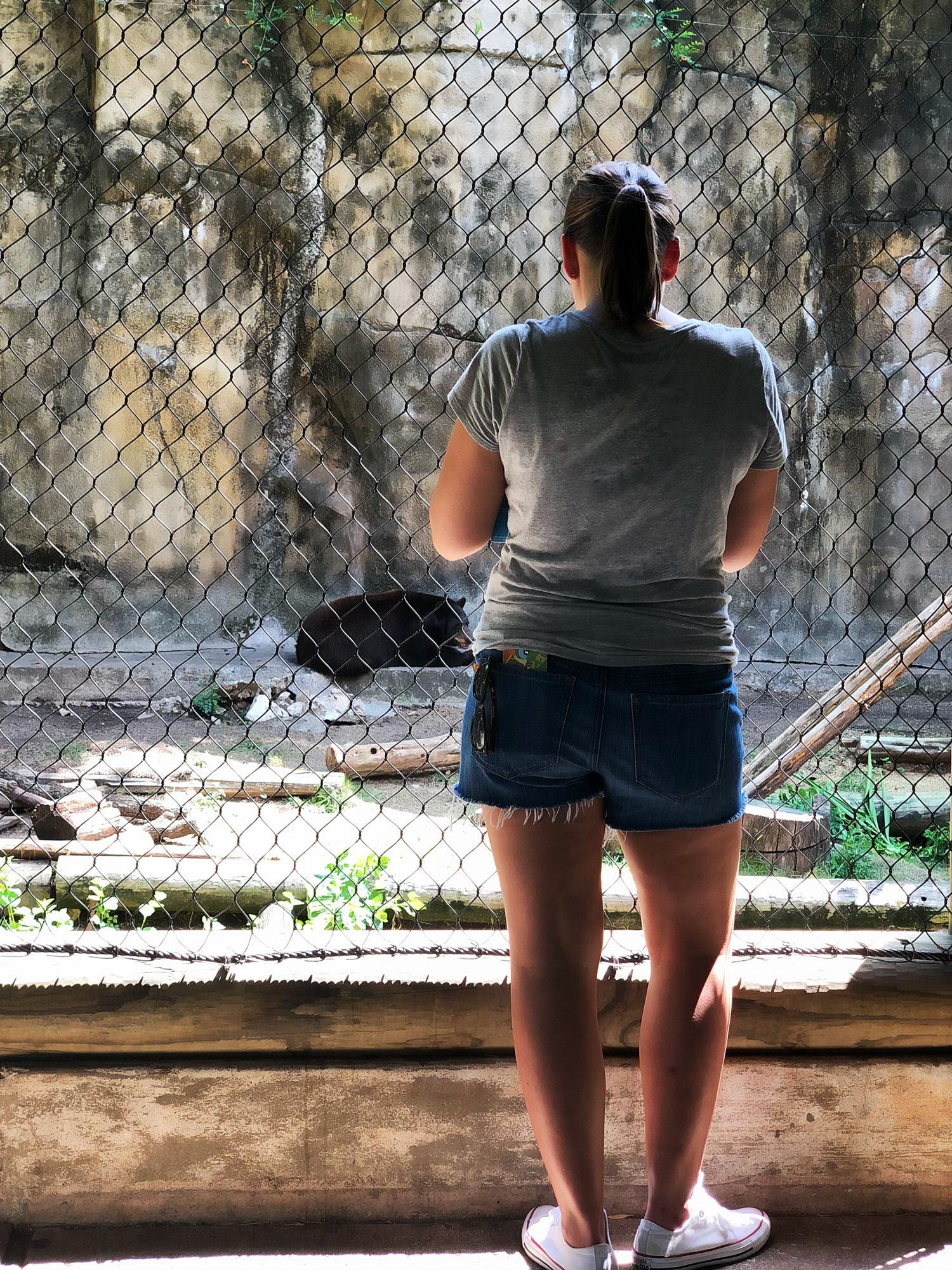 At the Houston zoo in 100 degree weather