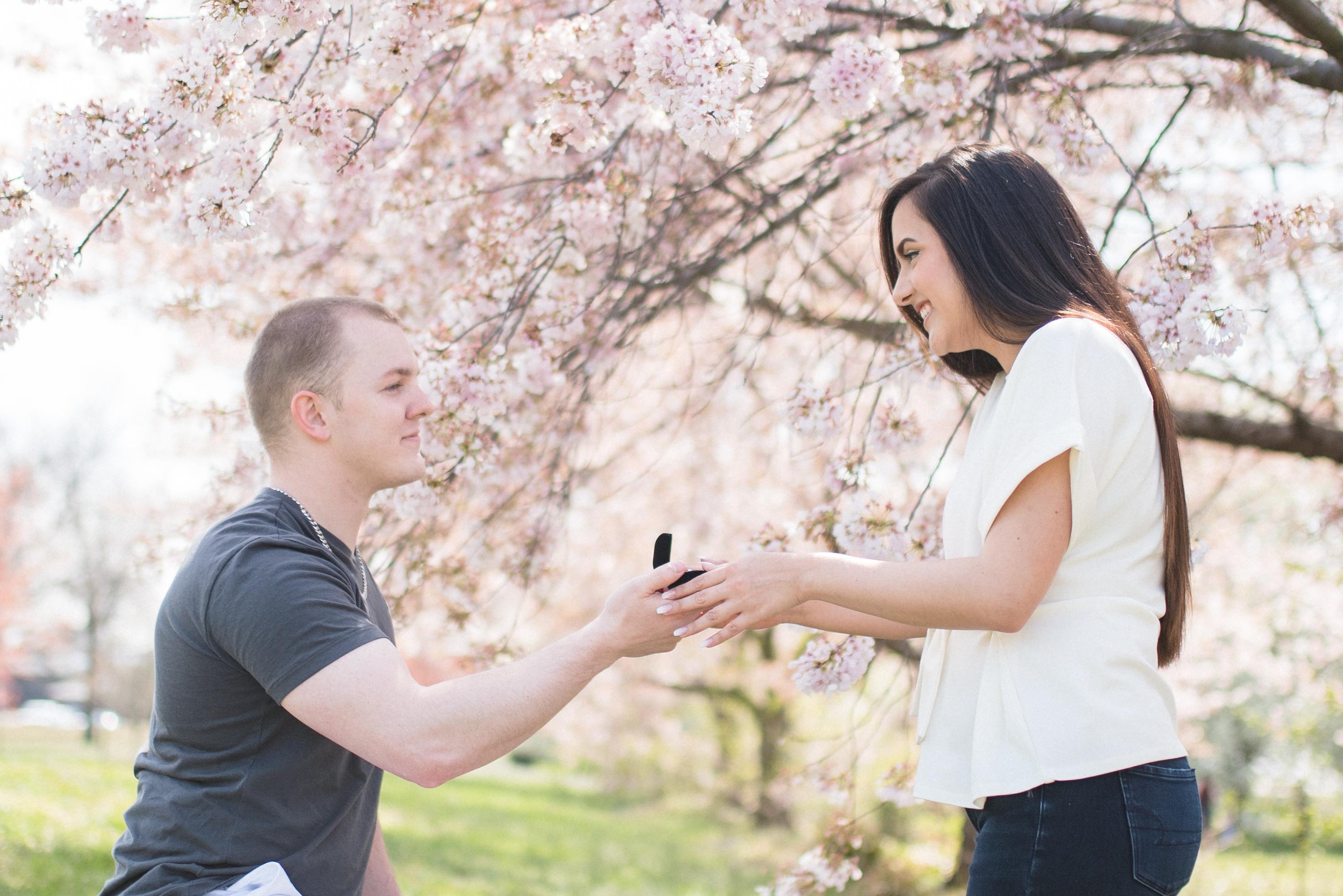 The Wedding Website of Sara Knapp and Chris Knapp