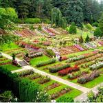 Washington Park International Rose Test Garden