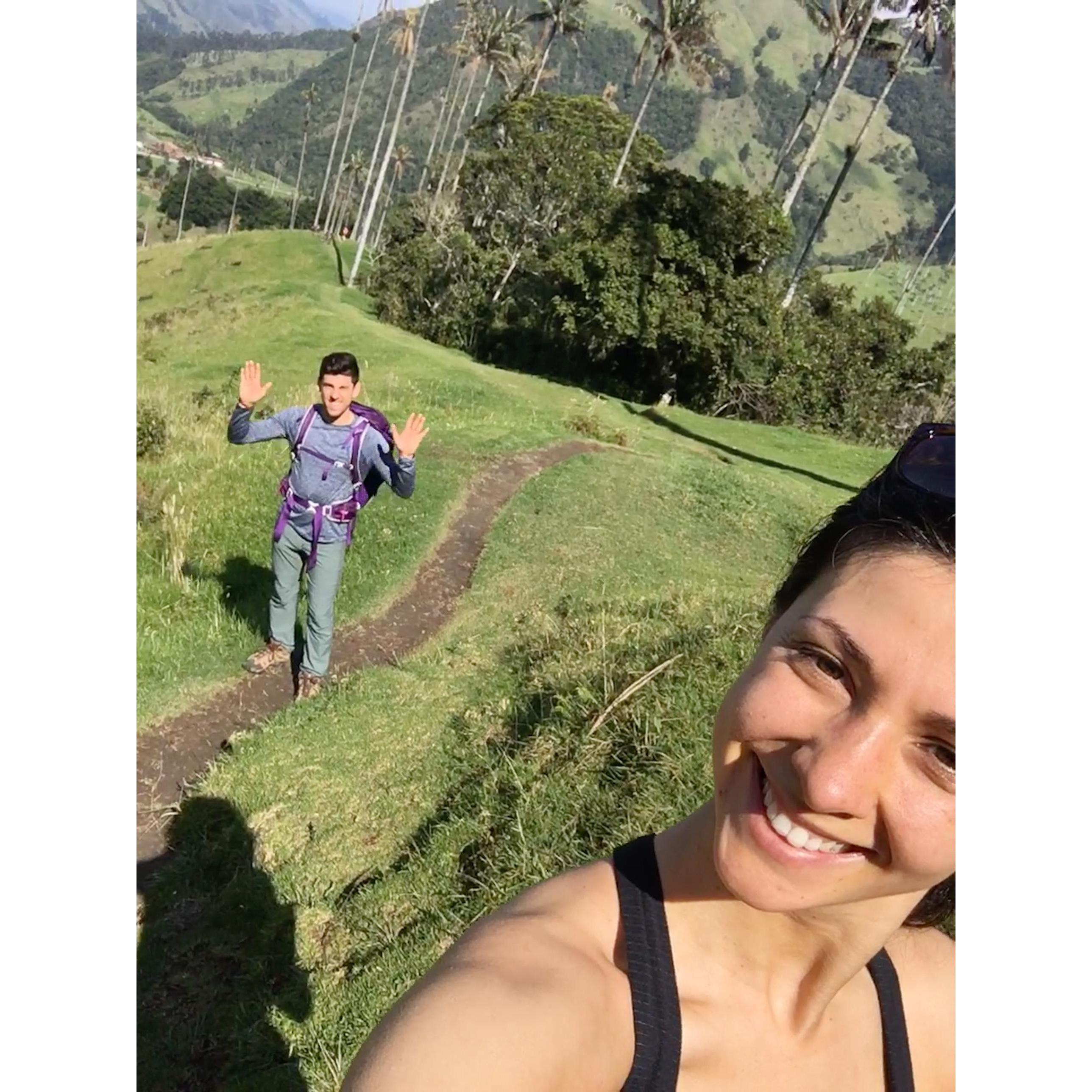 Cocora Valley, Colombia