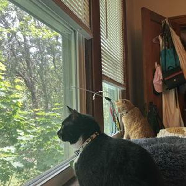 Spoil Juno and Winston
