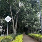 Avenida Amsterdam