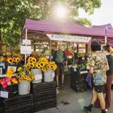 Boulder County Farmers Market