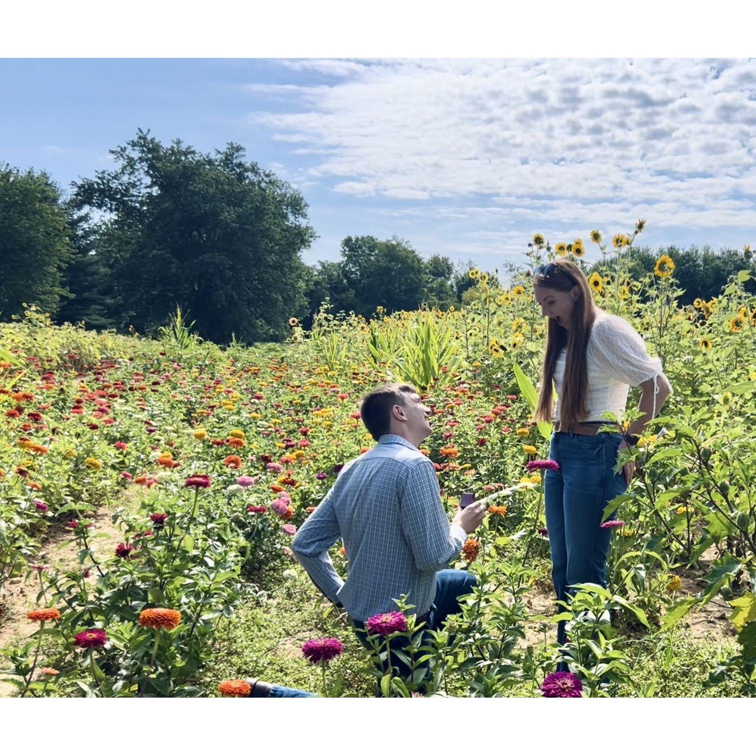 The day we got engaged!