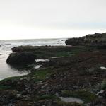 Pillar Point Harbor Beach