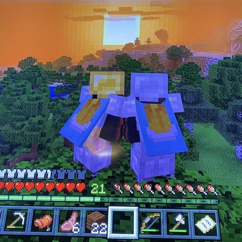 Watching the sunset in Minecraft.