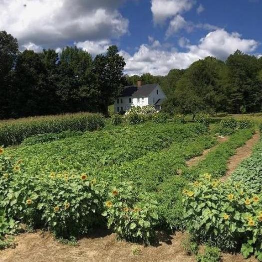 The beautiful summer gardens maintained, and later harvested, by the family.