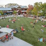 New Belgium Brewing Company