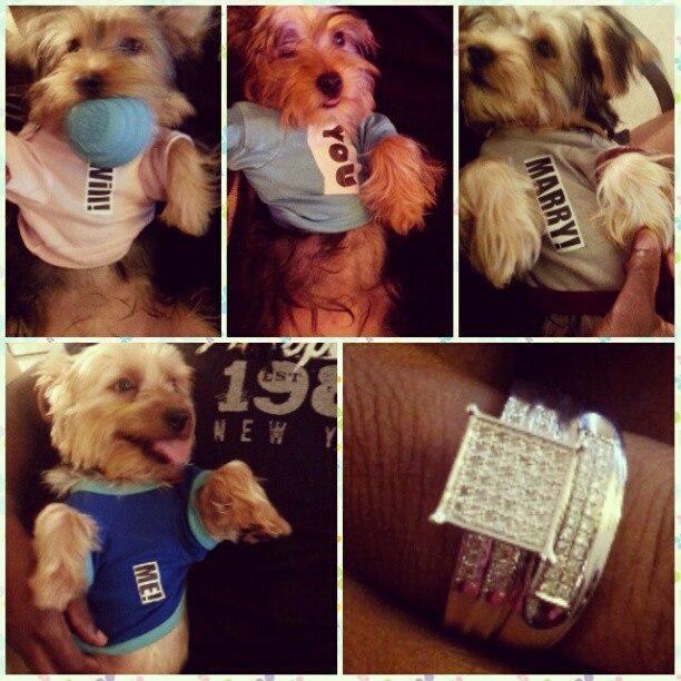 The proposal! Had to get the gang involved!