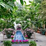 United States Botanic Garden