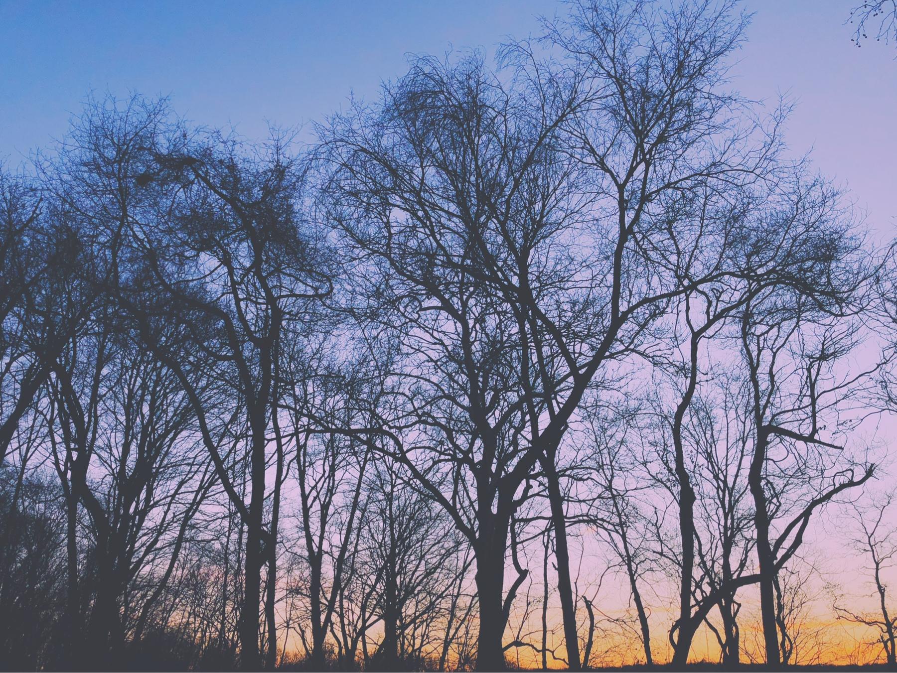 The Wedding Website of Kendyl Thorne and Thomas Salem