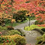 Washington Park Arboretum