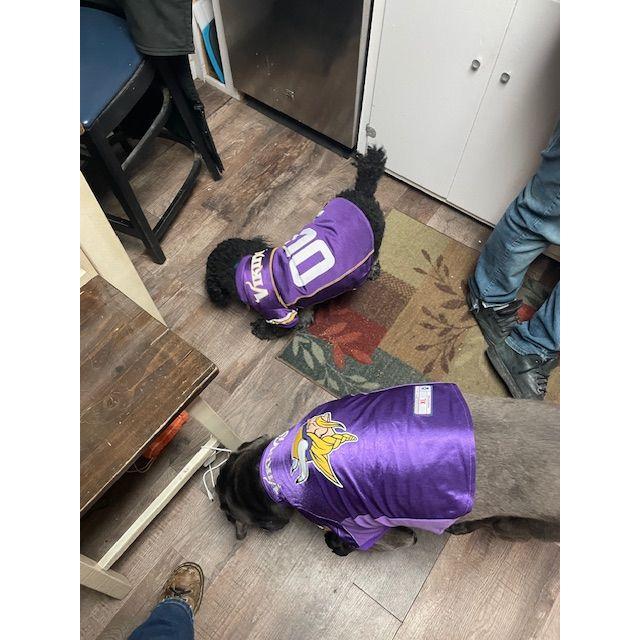 Vikings fan's like their mama!