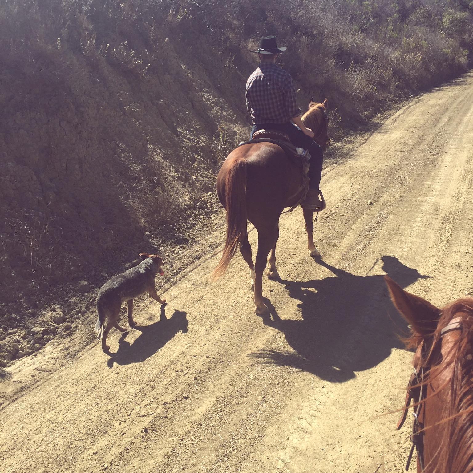 Our first trail ride | Ventura, CA | October 3, 2015