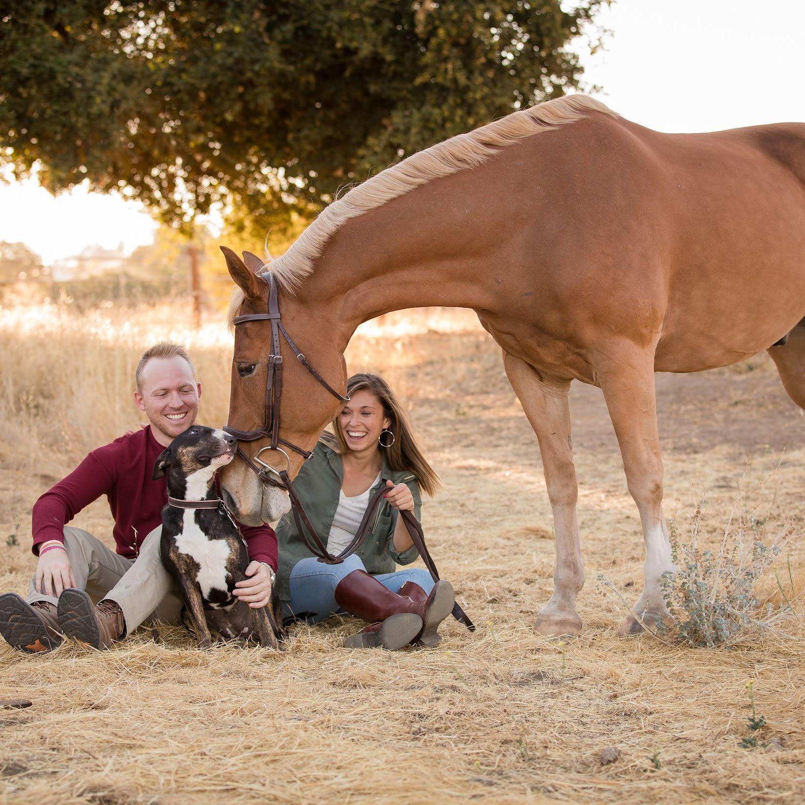 Family Photo 2020 - Luna and Barney stole the show