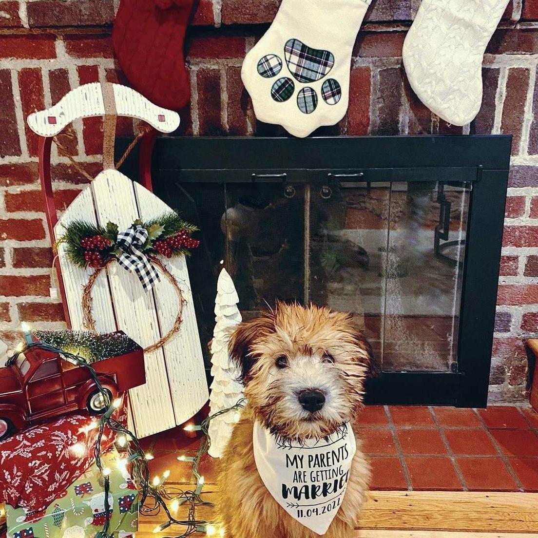 Theo's First Christmas