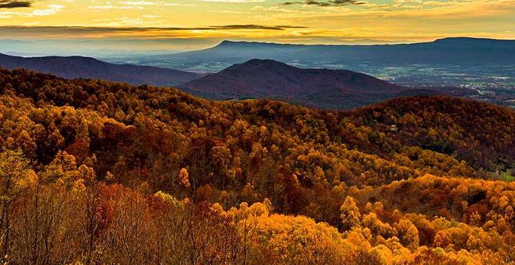 The Wedding Website of Stephanie Vogtman and Greg Say