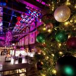 Savannah Christmas Market