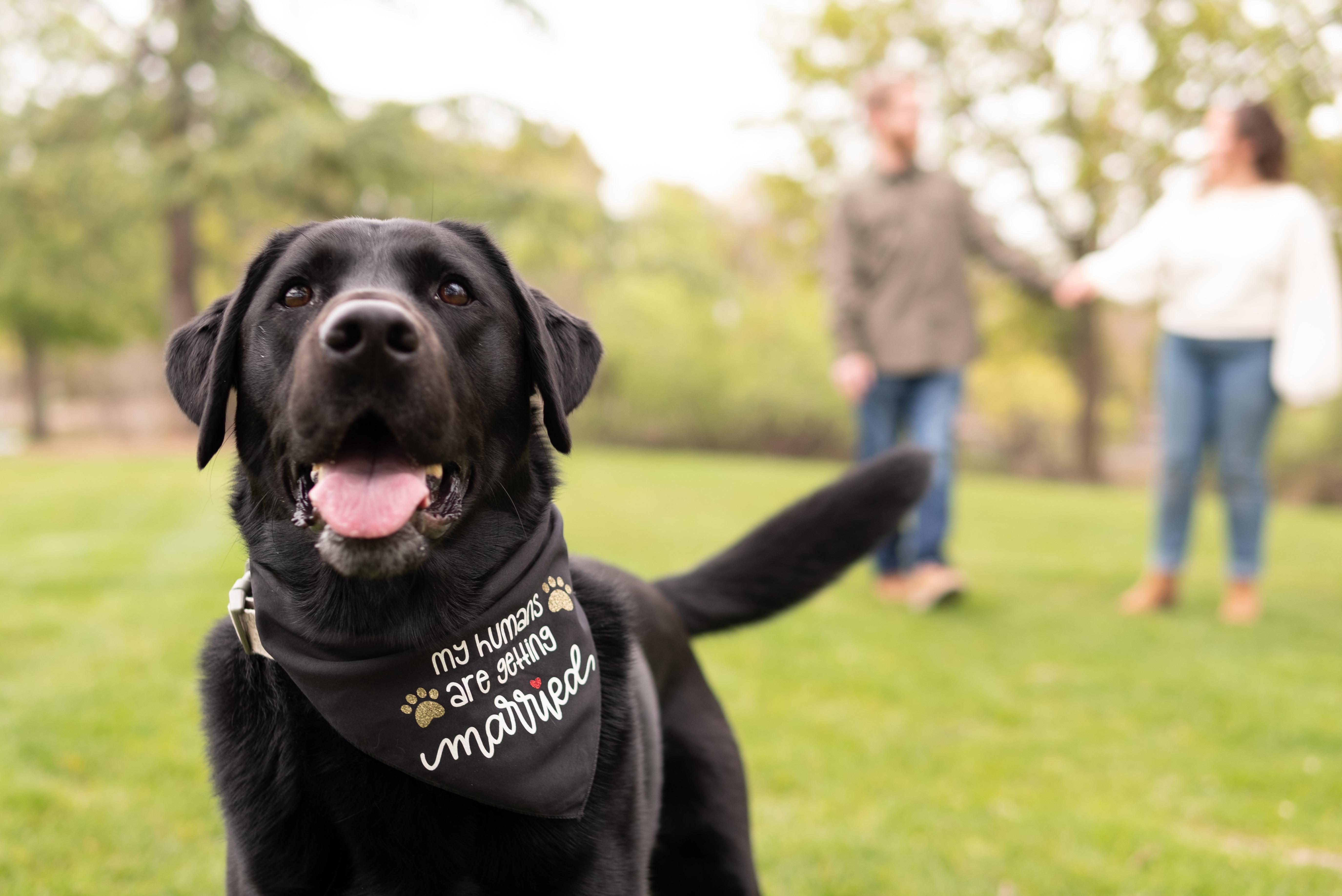 The Wedding Website of Kylie McCann and Jeremy Kendrick