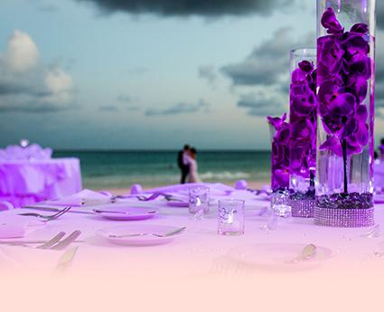The Wedding Website of Lauren Grimes and Nigel Lane