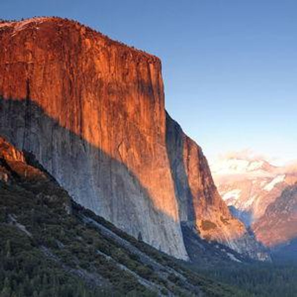 California Honeymoon Fund