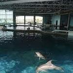 Clearwater Marine Aquarium