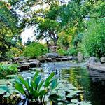 Zilker Botanical Garden