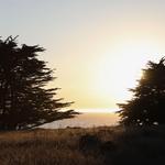 Bluff Trail