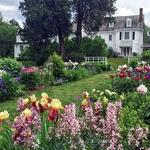 Stevens-Coolidge House & Gardens