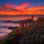 Watch the Sunset at the Montage - Laguna Beach