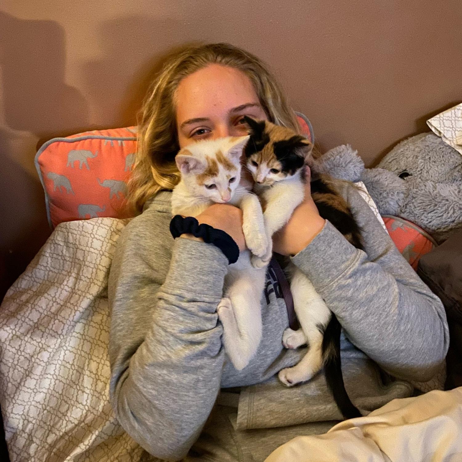 Adopted Ollie and Phoebe!