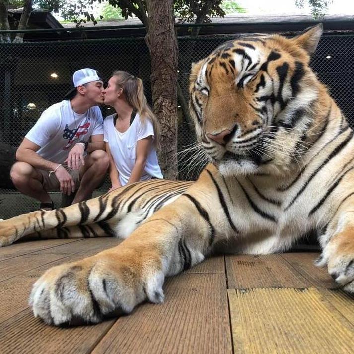 Petting Tigers!
