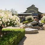 Ponte Winery