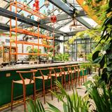 Somerset Bar
