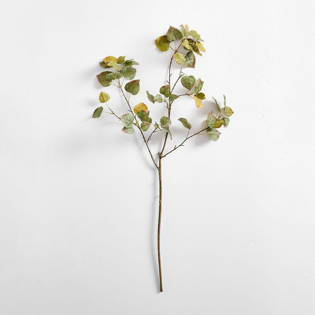 Green Turning Aspen Branch 48"