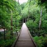 Eno River State Park